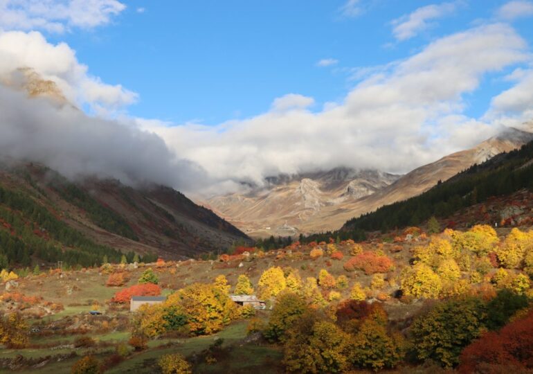 Université Grenoble alpes : Impacts des poussières minérales  et du carbone suie sur l’évolution  et la stabilité du manteau neigeux